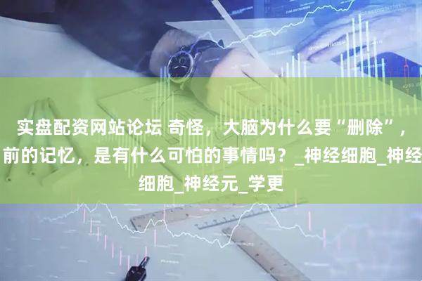 实盘配资网站论坛 奇怪，大脑为什么要“删除”，人类3岁前的记忆，是有什么可怕的事情吗？_神经细胞_神经元_学更