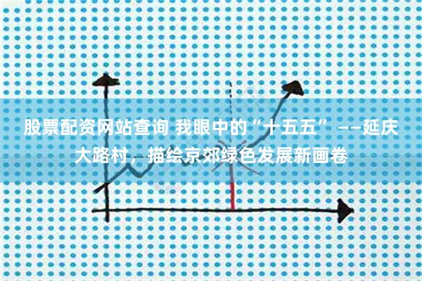 股票配资网站查询 我眼中的“十五五” ——延庆大路村，描绘京郊绿色发展新画卷